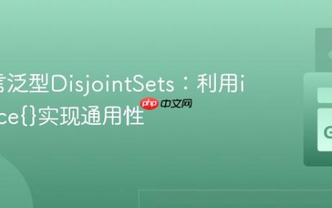 Go语言泛型DisjointSets：利用interface{}实现通用性