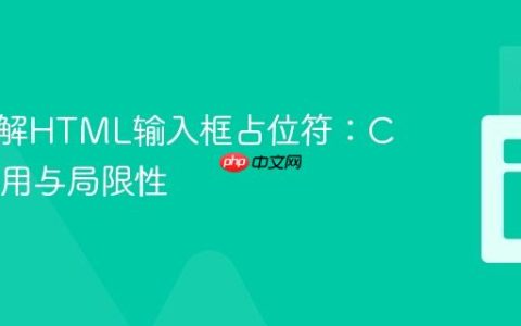 深入理解HTML输入框占位符：CSS的作用与局限性