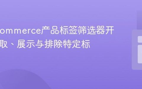 WooCommerce产品标签筛选器开发：获取、展示与排除特定标签
