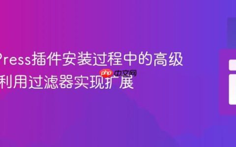 WordPress插件安装过程中的高级定制：利用过滤器实现扩展