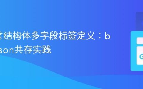 Go语言结构体多字段标签定义：bson与json共存实践