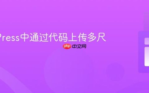 WordPress中通过代码上传多尺寸图片