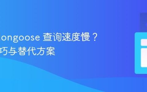 使用 Mongoose 查询速度慢？优化技巧与替代方案