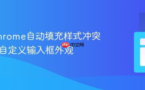 解决Chrome自动填充样式冲突：实现自定义输入框外观