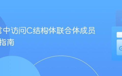 Go语言中访问C结构体联合体成员的实践指南
