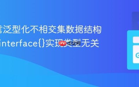 Go语言泛型化不相交集数据结构：使用interface{}实现类型无关操作