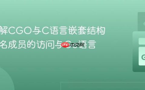 深入理解CGO与C语言嵌套结构体：匿名成员的访问与Go语言映射