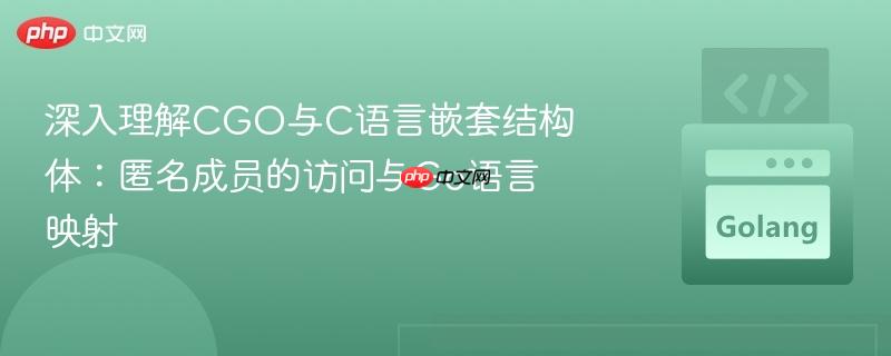 深入理解CGO与C语言嵌套结构体:匿名成员的访问与Go语言映射