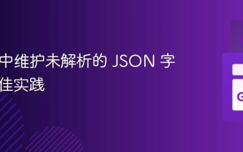 在 Go 中维护未解析的 JSON 字段的最佳实践