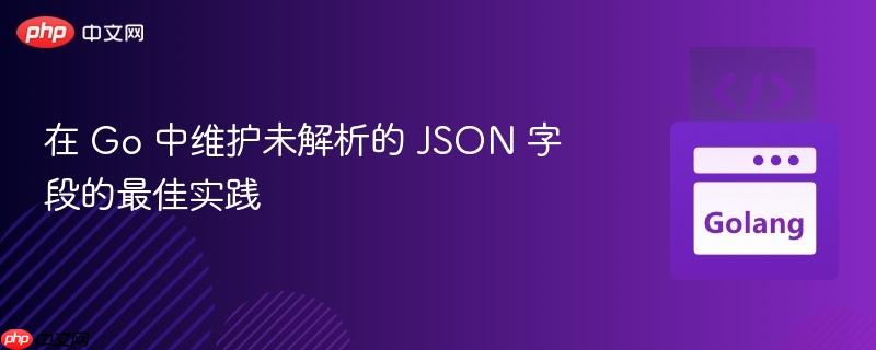 在 go 中维护未解析的 json 字段的最佳实践