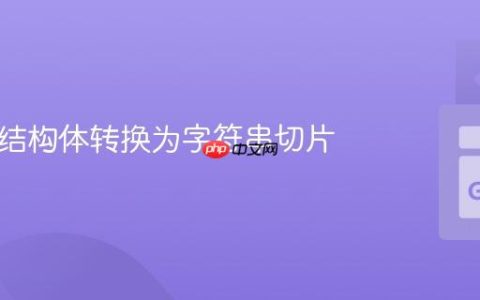 将 Go 结构体转换为字符串切片