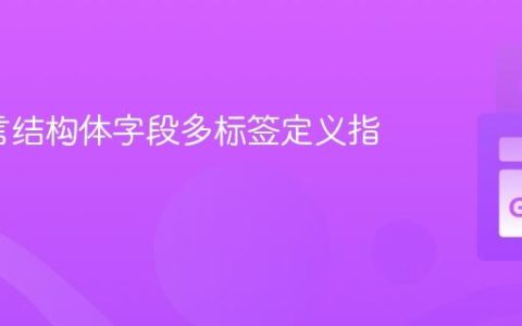 Go语言结构体字段多标签定义指南