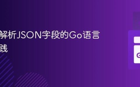 保持未解析JSON字段的Go语言最佳实践