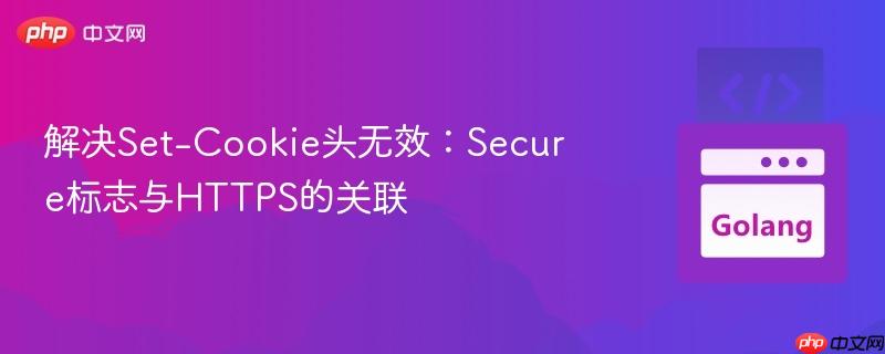 解决Set-Cookie头无效:Secure标志与HTTPS的关联