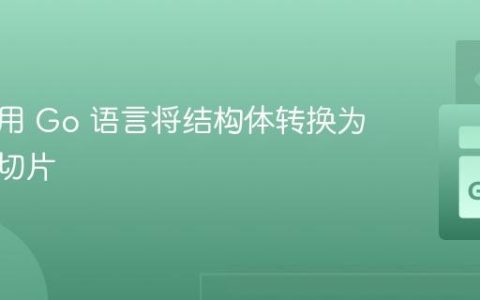 如何使用 Go 语言将结构体转换为字符串切片