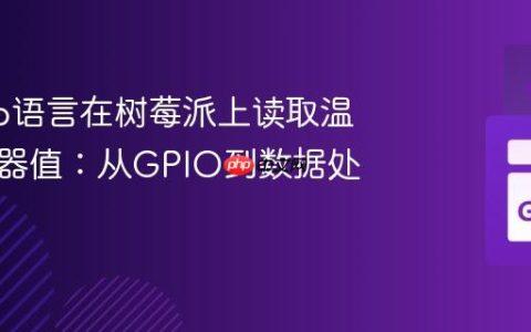 使用Go语言在树莓派上读取温度传感器值：从GPIO到数据处理