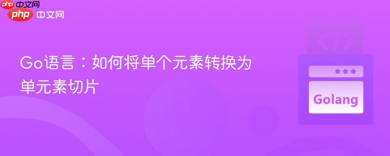 Go语言:如何将单个元素转换为单元素切片