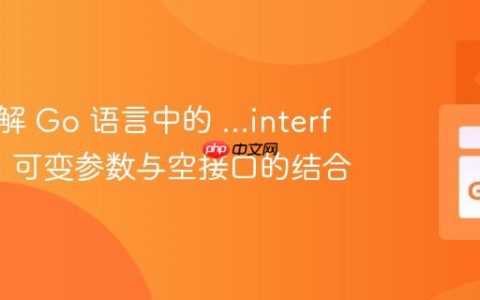 深入理解 Go 语言中的 …interface{}：可变参数与空接口的结合