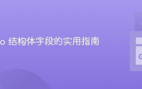 遍历 Go 结构体字段的实用指南