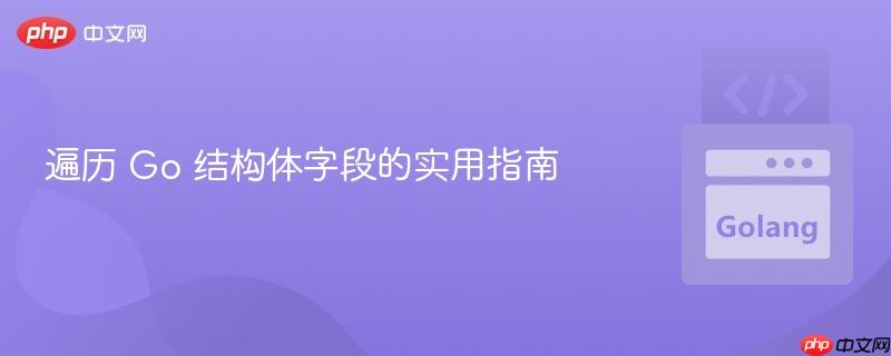 遍历 Go 结构体字段的实用指南