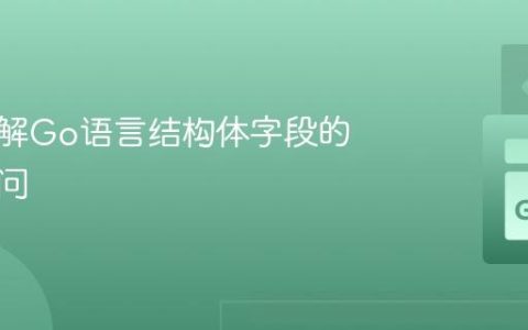 深入理解Go语言结构体字段的动态访问