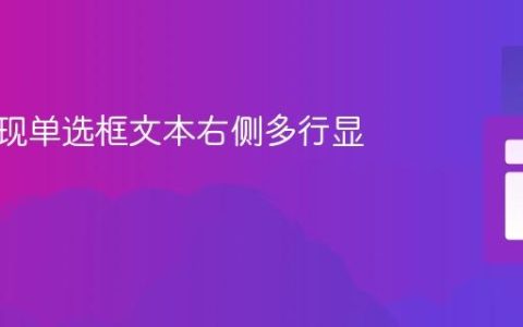CSS实现单选框文本右侧多行显示