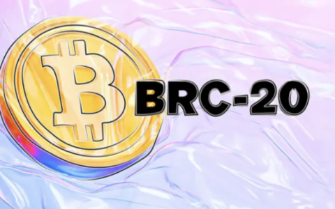 BRC-20协议是什么？它如何引爆比特币生态？铭文新手入门指南