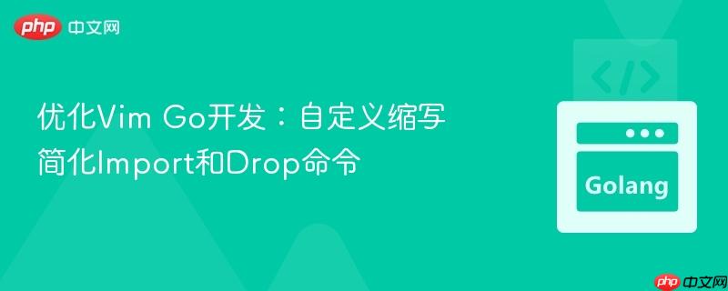 优化Vim Go开发:自定义缩写简化Import和Drop命令