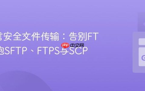 Go语言安全文件传输：告别FTP，拥抱SFTP、FTPS与SCP