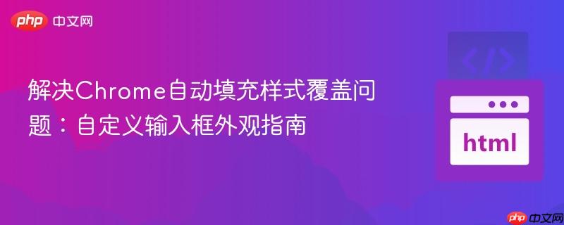 解决Chrome自动填充样式覆盖问题:自定义输入框外观指南