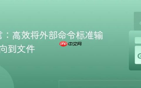 Go语言：高效将外部命令标准输出重定向到文件