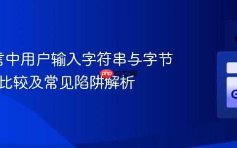 Go语言中用户输入字符串与字节切片的比较及常见陷阱解析