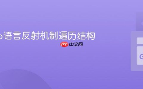 使用Go语言反射机制遍历结构体字段