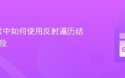 Go语言中如何使用反射遍历结构体字段
