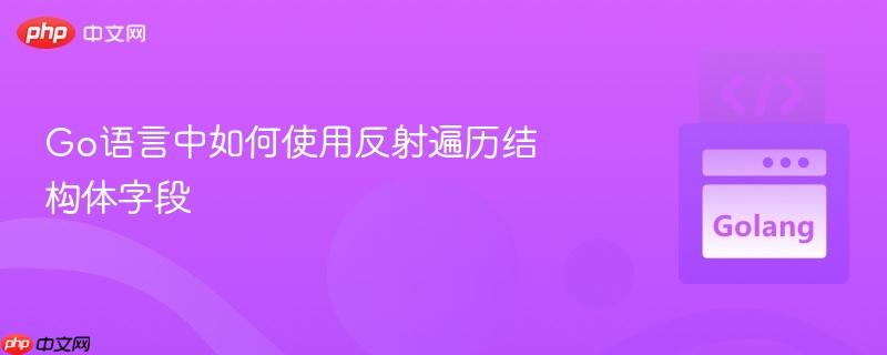 go语言中如何使用反射遍历结构体字段