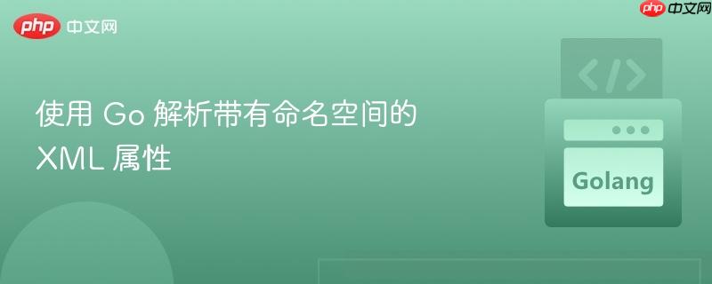 使用 go 解析带有命名空间的 xml 属性