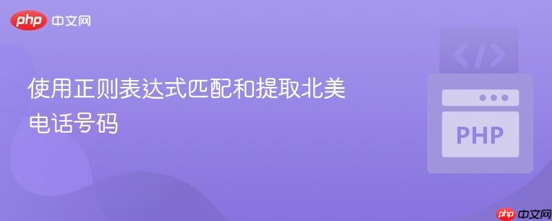 使用正则表达式匹配和提取北美电话号码