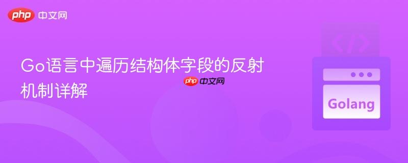 Go语言中遍历结构体字段的反射机制详解