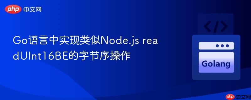 Go语言中实现类似Node.js readUInt16BE的字节序操作