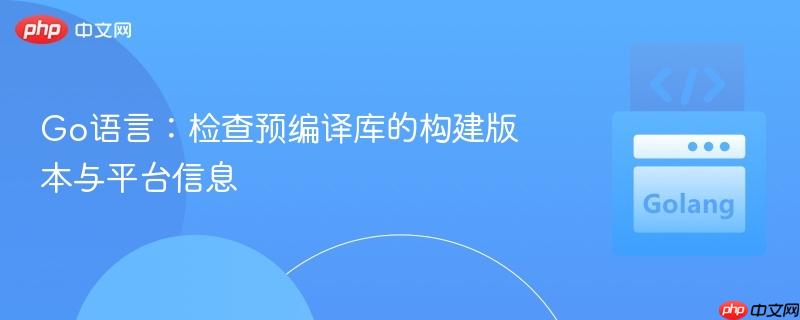 Go语言:检查预编译库的构建版本与平台信息