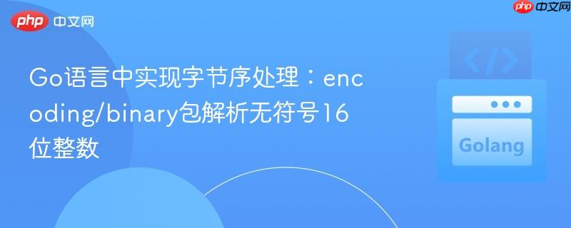 Go语言中实现字节序处理:encoding/binary包解析无符号16位整数