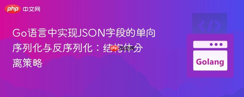 Go语言中实现JSON字段的单向序列化与反序列化:结构体分离策略