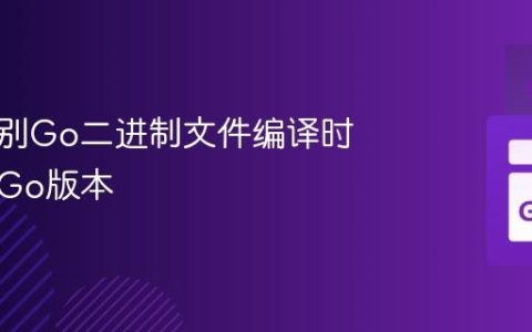 如何识别Go二进制文件编译时使用的Go版本