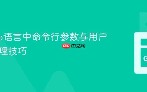 掌握Go语言中命令行参数与用户输入处理技巧
