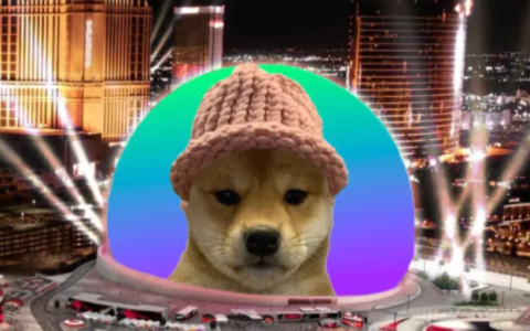 WIF(dogwifhat)是什么？这只戴帽子的狗为何能成为Solana上的Meme之王？