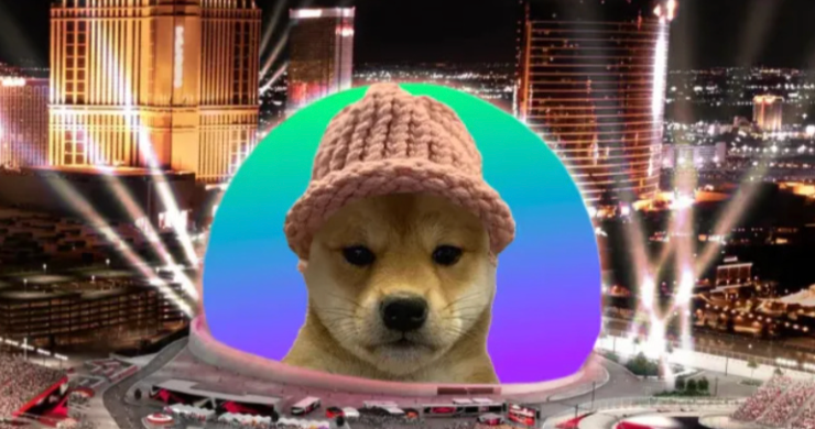 WIF(dogwifhat)是什么?这只戴帽子的狗为何能成为Solana上的Meme之王? - 创想鸟