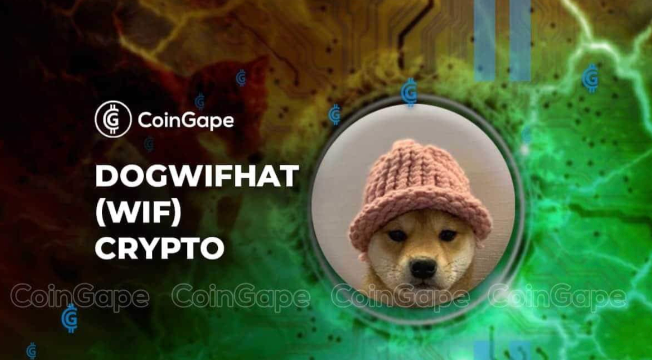 WIF(dogwifhat)是什么?这只戴帽子的狗为何能成为Solana上的Meme之王? - 创想鸟