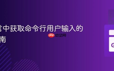 Go语言中获取命令行用户输入的实用指南