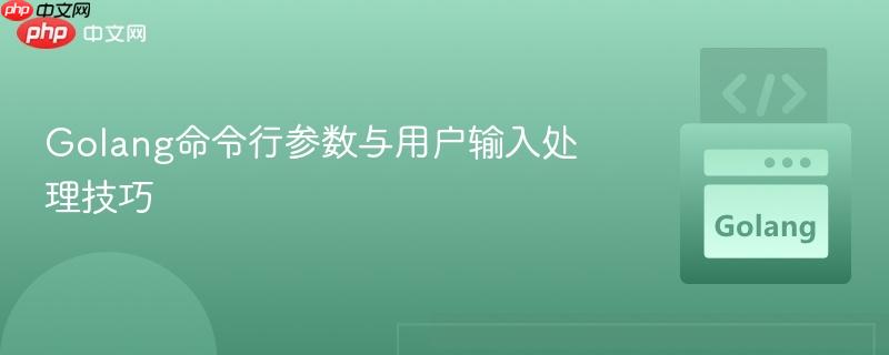 Golang命令行参数与用户输入处理技巧