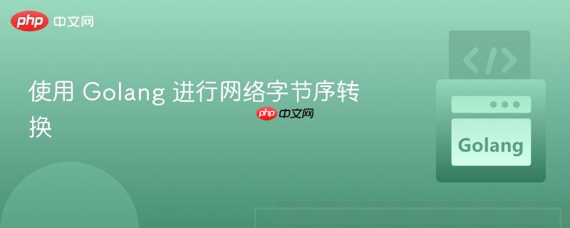 使用 golang 进行网络字节序转换